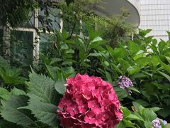 -江南大学附属医院(北院区)