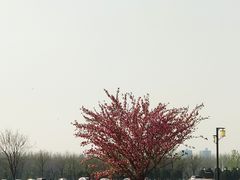 -汉长安城未央宫国家考古遗址公园