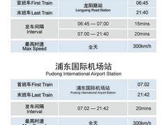 -龙阳路磁悬浮列车总站-停车场