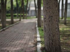 -辽宁大学(崇山校区)