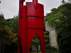 -东平国家森林公园
