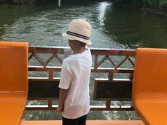 -大湾区中央湿地公园