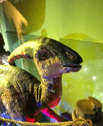 -恐龙探索乐园(磁器口店)