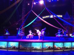 -石林冰雪海洋世界