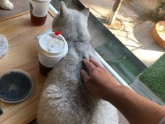 -猫和宫(六道口店)