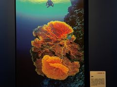 -福州海峡文化艺术中心