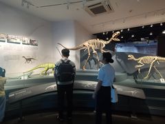 -自贡恐龙博物馆