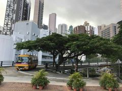 -香港大学