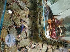 -盒马鲜生(悠方店)