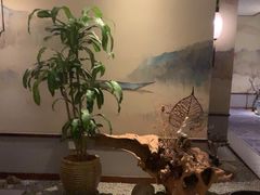 -鼎族怡华·指压·经络·疗愈SPA(紫荆店)