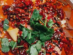 -川堂风·跷脚牛肉·乐山爆炒(宝山日月光店)