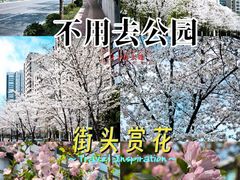 -象屿大宁悦府