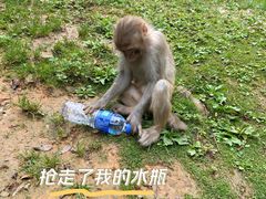 -黔灵山公园