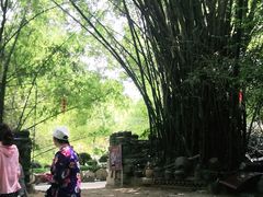 -青瓦房古村落