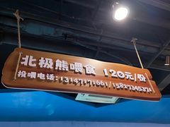 -海合安武汉极地海洋公园