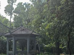 -国恩寺
