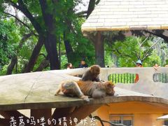 -广州动物园