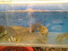 android_upload_pic-小铜锣湾海鲜家常菜馆(河西店)