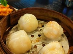 添运来虾饺皇-添运来(茶园奥园广场店)