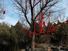 -淄博聊斋城景区