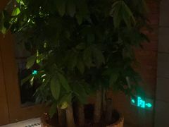 -浅深Cheersum(曹杨店)