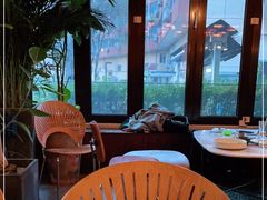 -the rug 飞毯 (朝阳公园店)