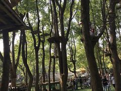 -WeLope紫金山探险公园