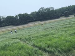 -鄱阳湖国家湿地公园