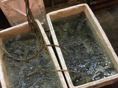 -桥底辣蟹(谢斐道店)