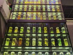 -广东中医药博物馆