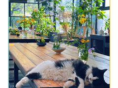 -北马山庄植趣咖啡