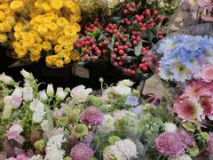 -循礼门鲜花花市(武汉循礼门店)