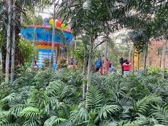 -南宫五洲植物乐园