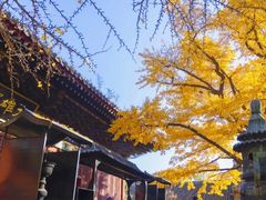 -红螺寺