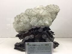 -二连浩特国家地质公园