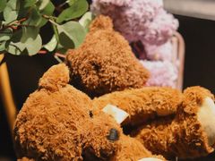 -咖法森林·咖啡  酒吧(天河店)