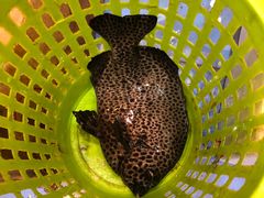 -君德澜酒家·创意粤菜(金山谷店)