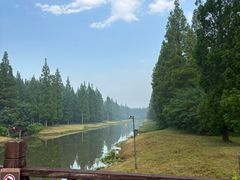 -黄海国家森林公园