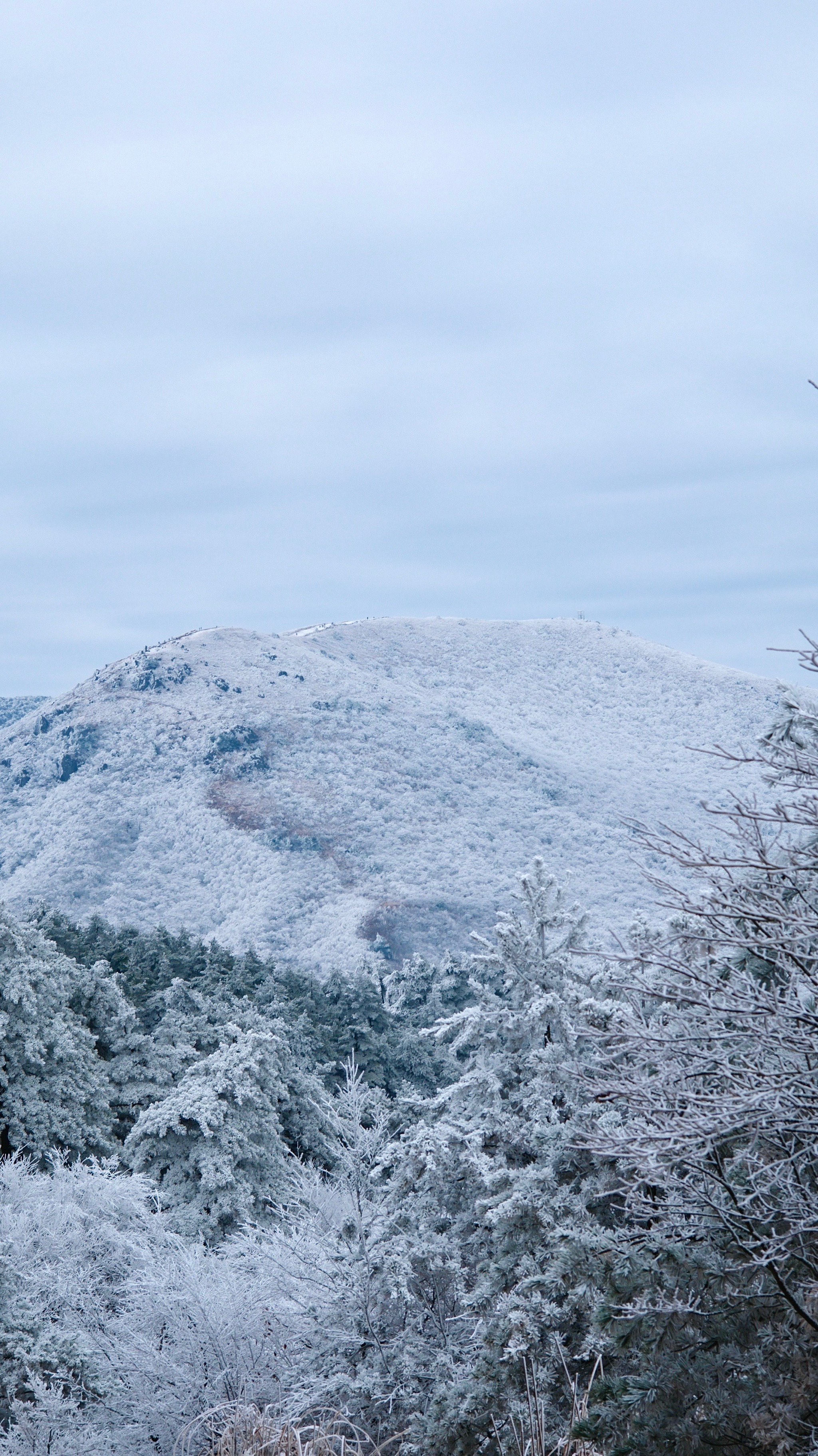 麻姑山雪景图片