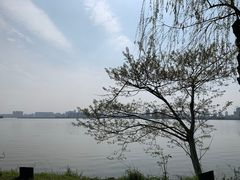 -艾溪湖湿地公园
