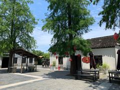-同里国家湿地公园