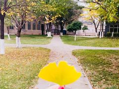 -东北大学(南湖校区)