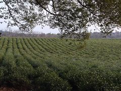 -敬亭山风景名胜区