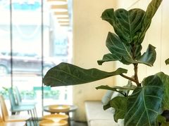 -仁义涵西餐·咖啡(中华巴洛克店)