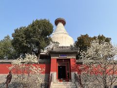 -妙应寺白塔