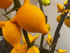 -星巴克(香港名都店)