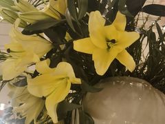 -春暖花开(西溪店)