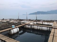 -罗源湾8号渔排