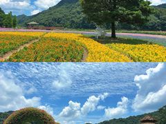 -广州市石门国家森林公园