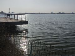 -南汇嘴观海公园